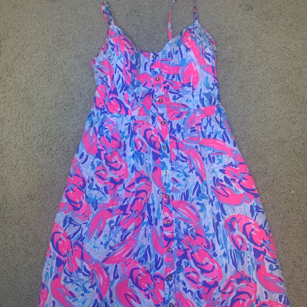 00 Lilly Pulitzer Dress